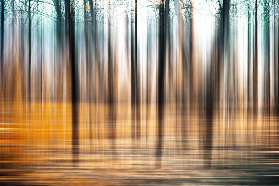 Фреска Абстракт лес