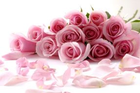 Фотообои Букет из розовых роз