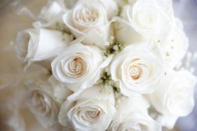 Фотообои букет белых роз