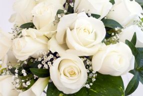 Фотообои Букет белых роз