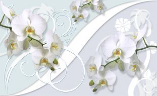 Фотообои 3D орхидеи на фоне белой стены