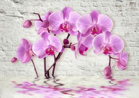 Фотообои 3д Орхидея на кирпичной стене