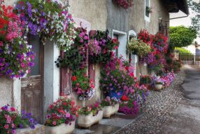 Фотообои Цветы на улочке прованса