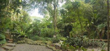 Фотообои Тропический сад