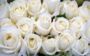 Фреска Букет белых роз